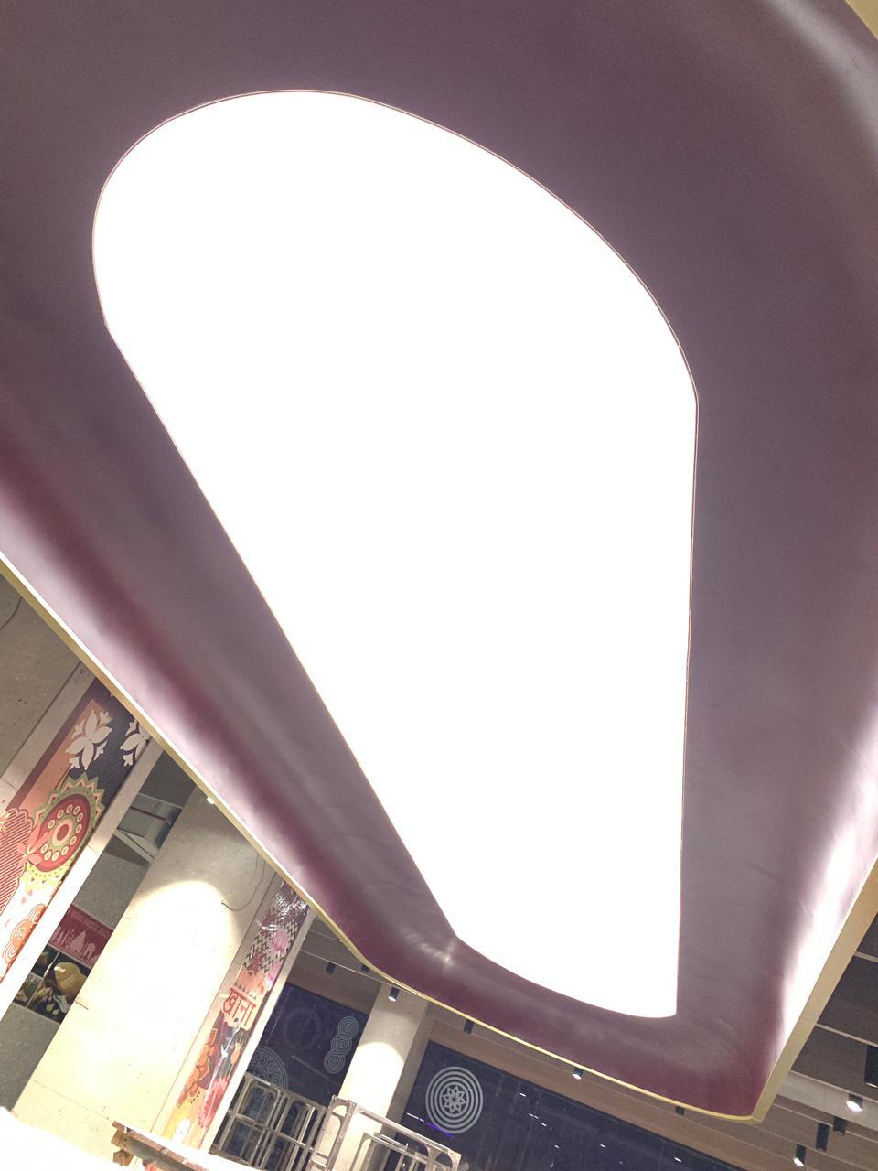 Conference Room Stretch Ceiling - Pattern: Customize