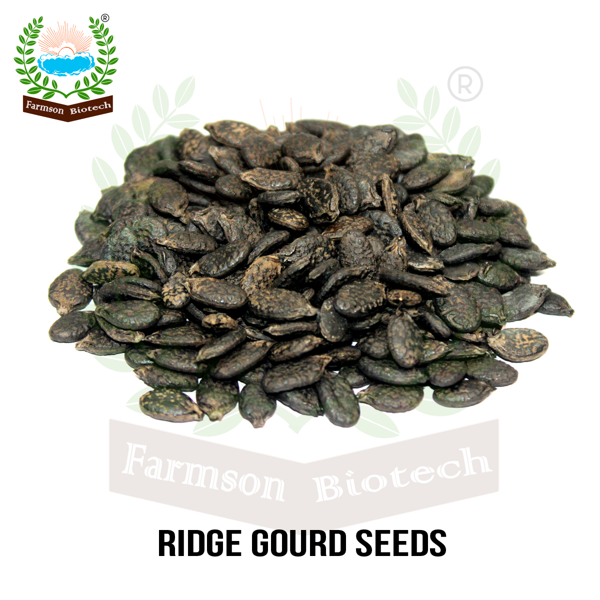 Ridge Gourd Seeds -Reva F1 Hybrid - Cultivation Type: Common