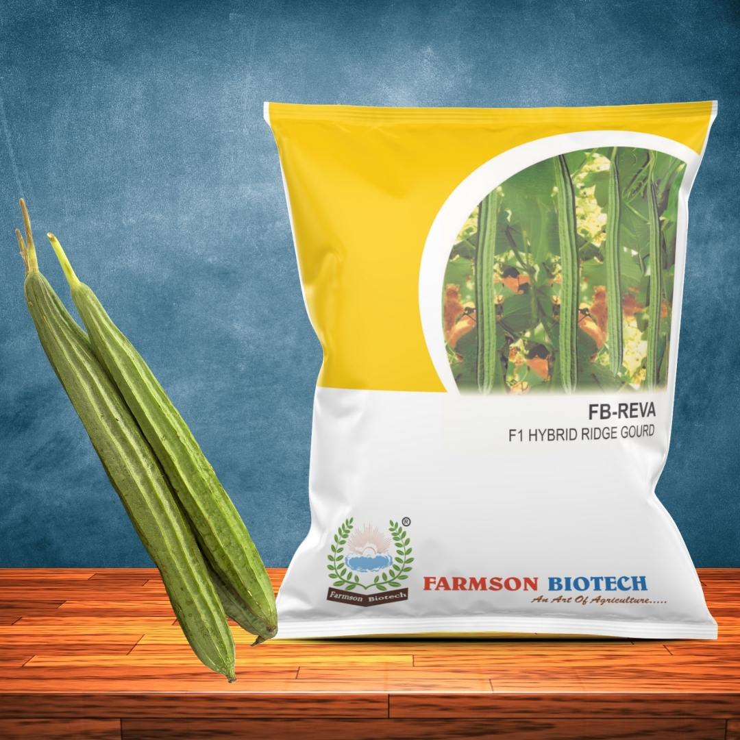 Ridge Gourd Seeds -Reva F1 Hybrid - Cultivation Type: Common