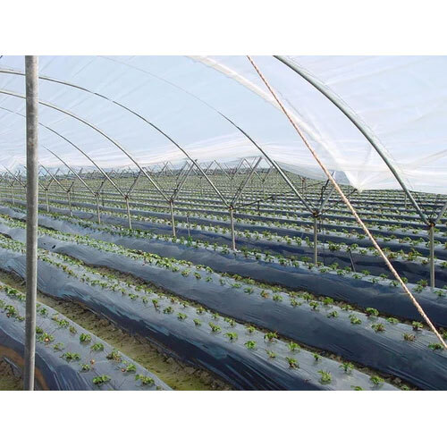 कृषि के लिए मल्चिंग फ़िल्म