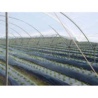 कृषि के लिए मल्चिंग फ़िल्म