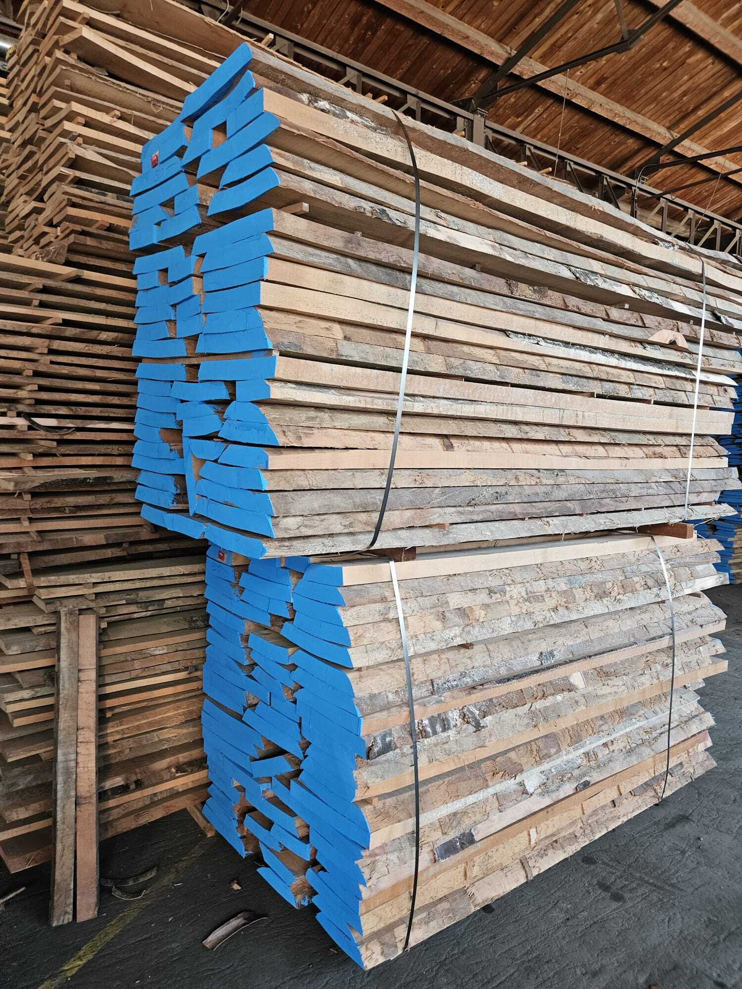 Steam Beech - Feature: Durable