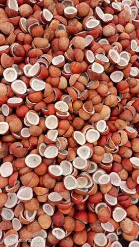 Half Coconut - Color: Brown