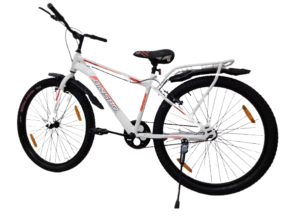 Binsar Hybrid Foldable Bicycle - Stainless Steel Frame, 26-inch Wheels | 80mm Aluminum Fork, 28 Kg Gross Weight, Gears Included