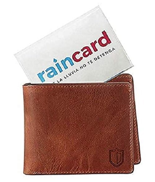 Mitsico Rain Card - Pvc Material, Free Size, Multicolor | Regular Fit Disposable Raincoat, Compact For Camping And Outdoor Activities