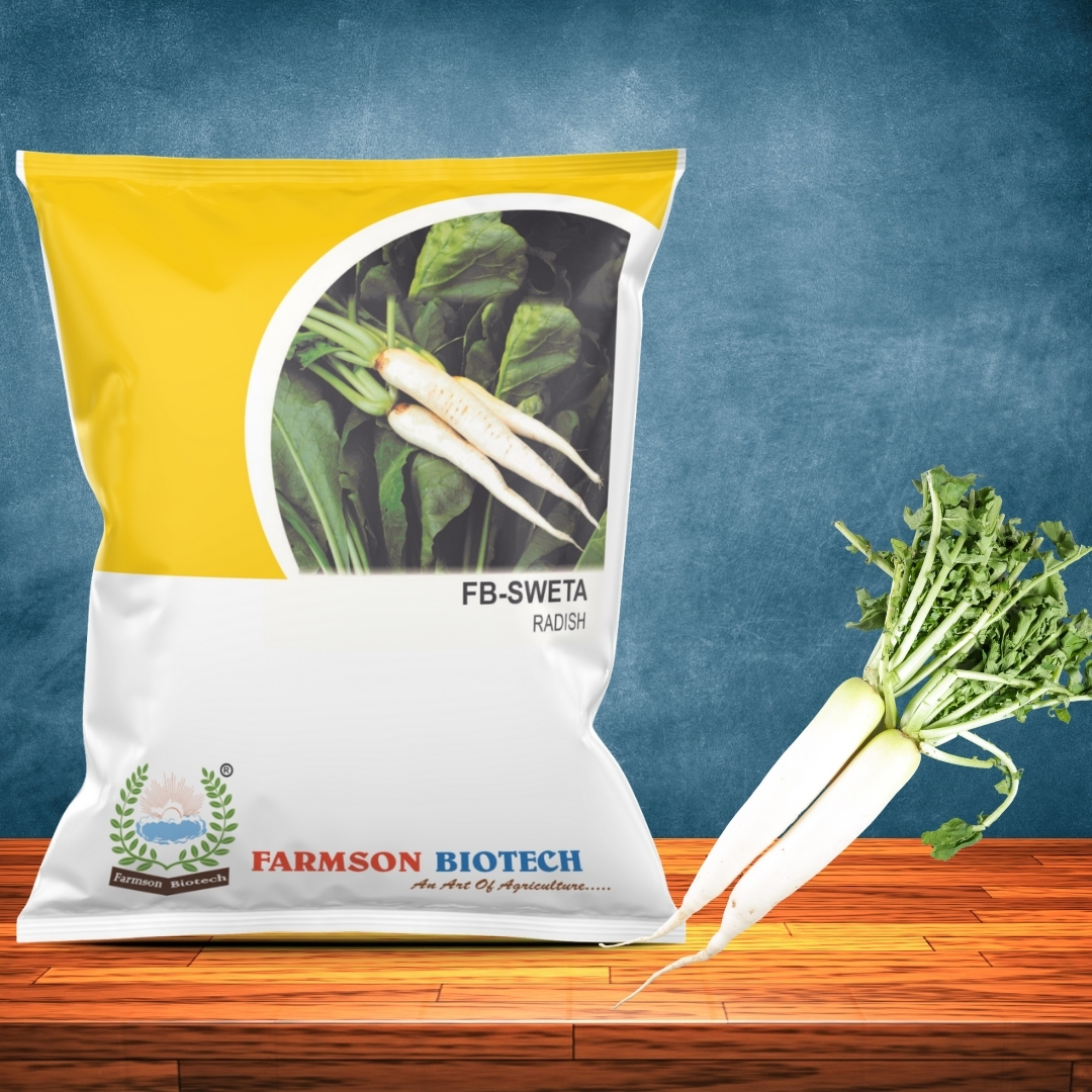 Radish Seeds -Sweta - Color: White