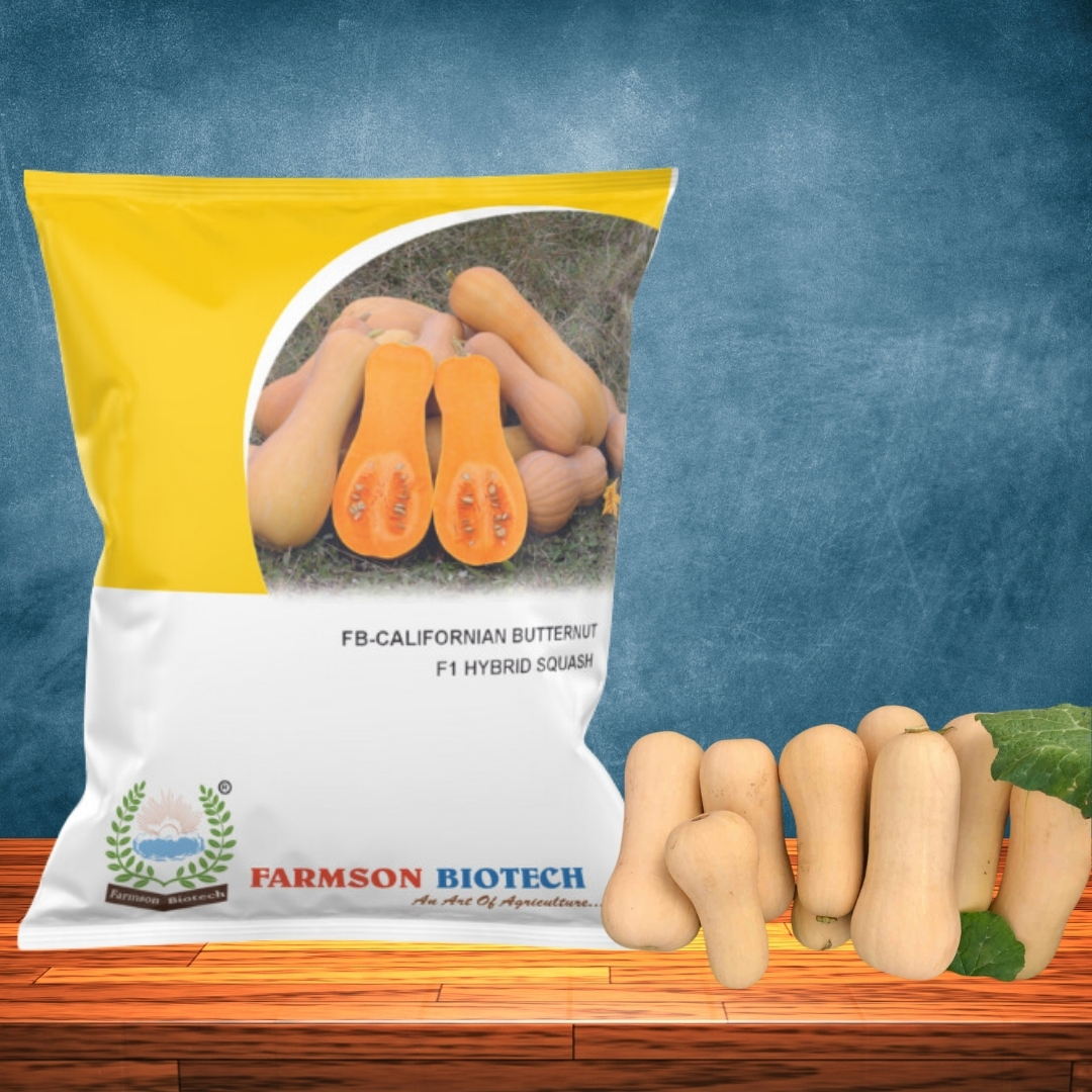 Pumpkin Seeds -Californian Butternut F1 Hybrid - Ash %: 1%