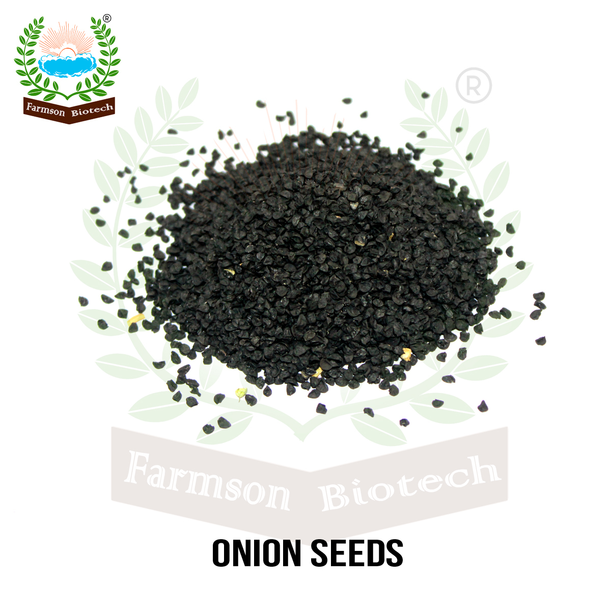 Onion Seeds Fb-red 11 - Color: Red