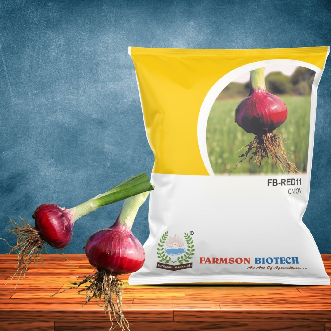 Onion Seeds Fb-red 11 - Color: Red