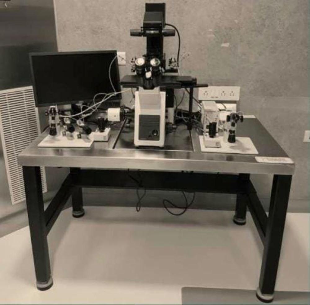 Icsi Table - Application: Ivf Lab And Hospital