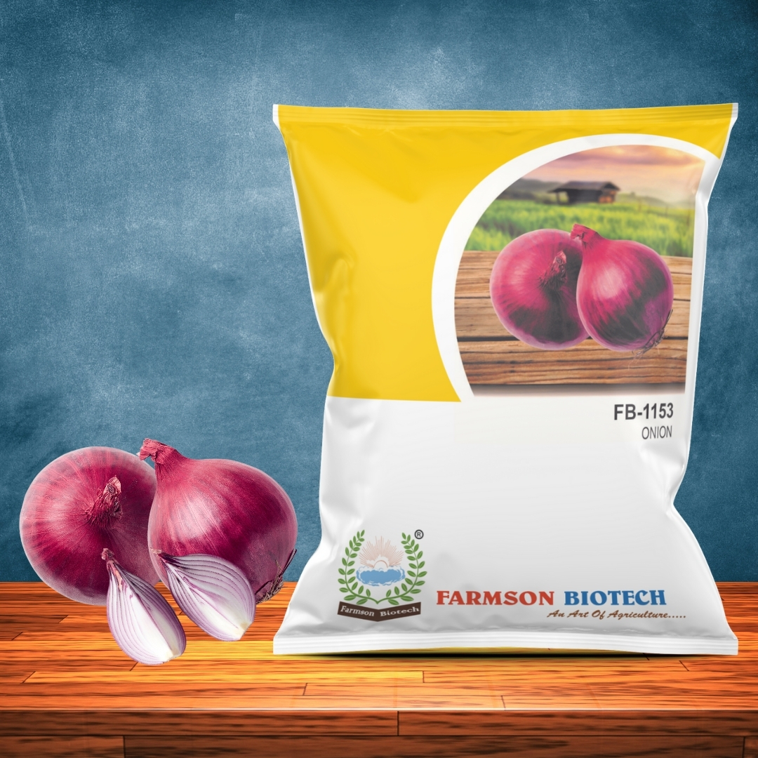 Onion Seeds -1153 - Cultivation Type: Common