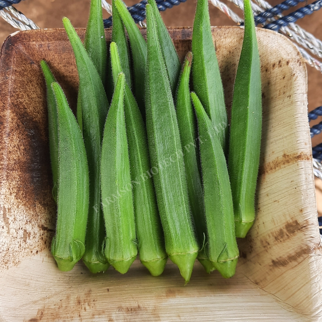 Okra Seeds - 12-14 Cm Long Dark Green Fruits | Hybrid With 95%-99% Purity, Tolerant To Yvmv & Elcv, 9-month Shelf Life, Ideal For Kharif & Summer Seasons