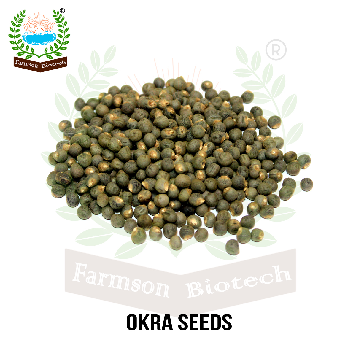 Okra Seeds Fb-saket F1 Hybrid - Cultivation Type: Common