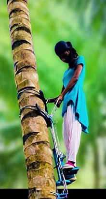 Coconut And Palm Tree Climber Machine With 150 Kg Weighing Capacity With Full Body Safety Belt