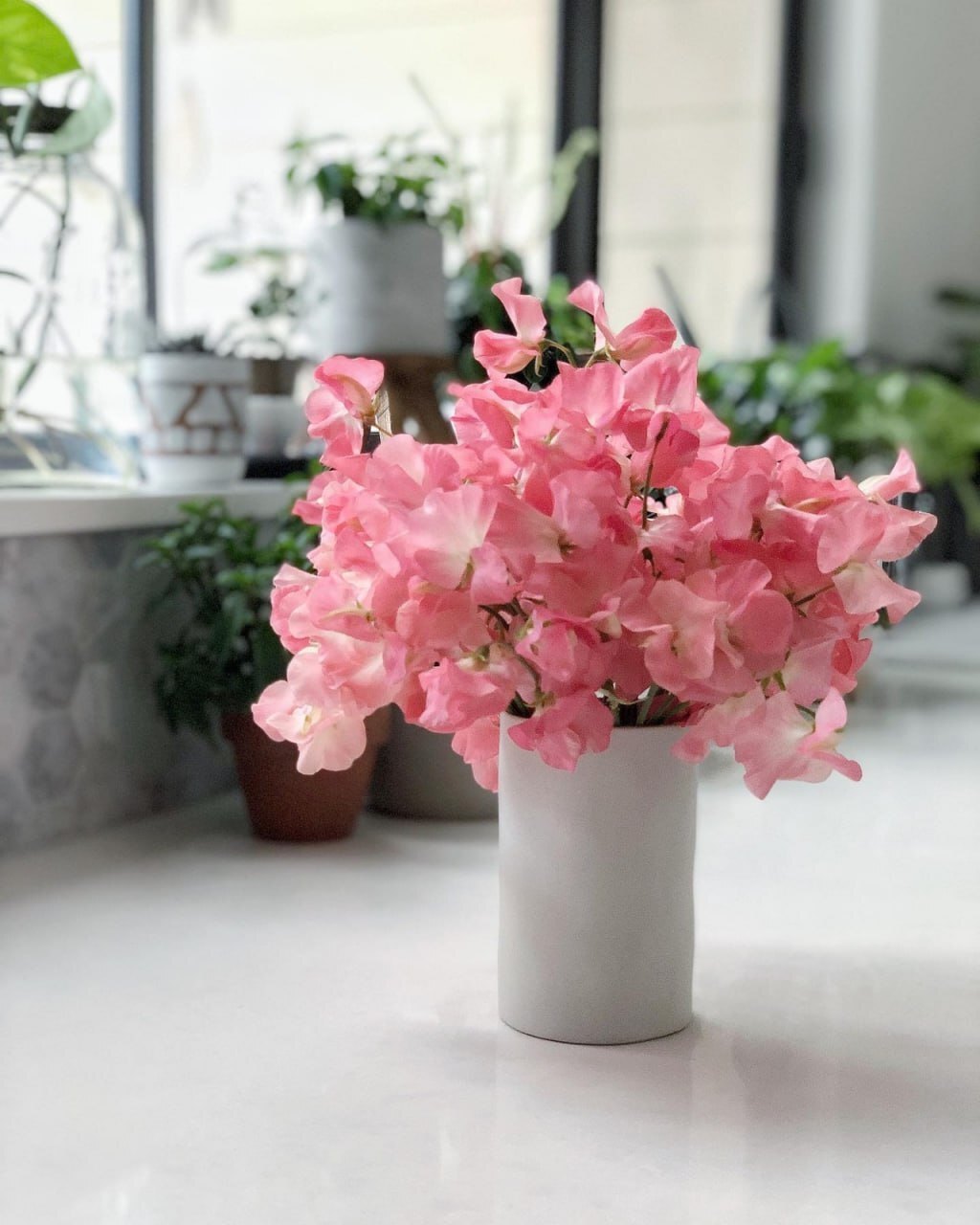 Mitsico Flower Pot Light Modern Flowers Pot Light - Plastic Material Multicolor | Versatile Dã©cor For Kitchen Living Room Office Balcony And More
