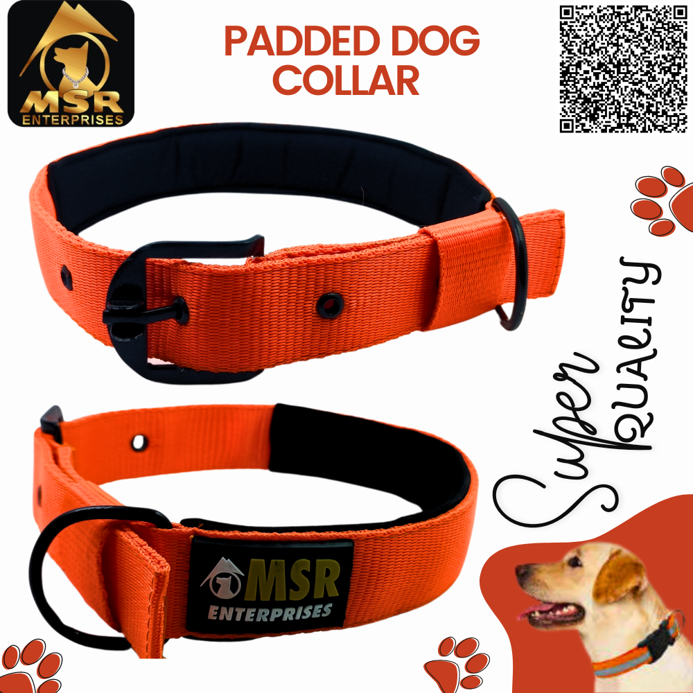 Padded Dog Collar (Pp/nylon) - 1.5 Inch Size | High Quality Material Vibrant Yellow Color Suitable For All Breeds And Ages