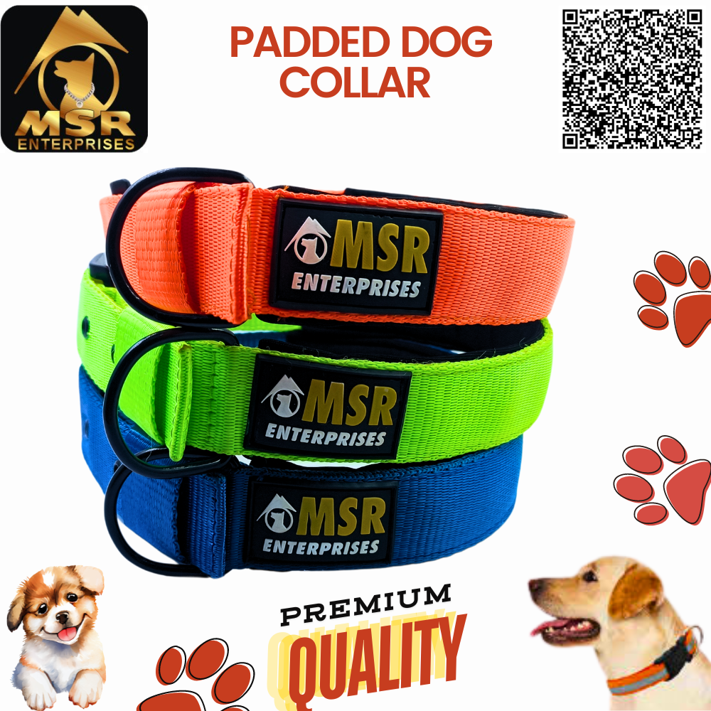 Padded Dog Collar (Pp/nylon) - 1.5 Inch Size | High Quality Material Vibrant Yellow Color Suitable For All Breeds And Ages