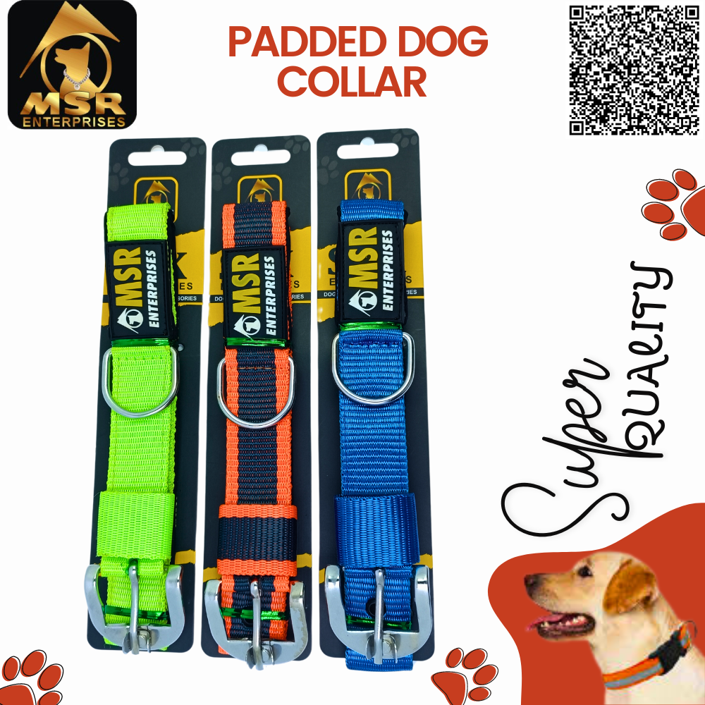 Padded Dog Collar (Pp/nylon) - 1.5 Inch Size | High Quality Material Vibrant Yellow Color Suitable For All Breeds And Ages
