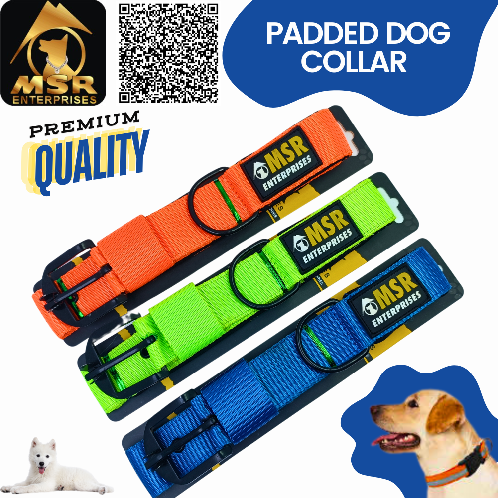 Padded Dog Collar (Pp/nylon) - 1.5 Inch Size | High Quality Material Vibrant Yellow Color Suitable For All Breeds And Ages