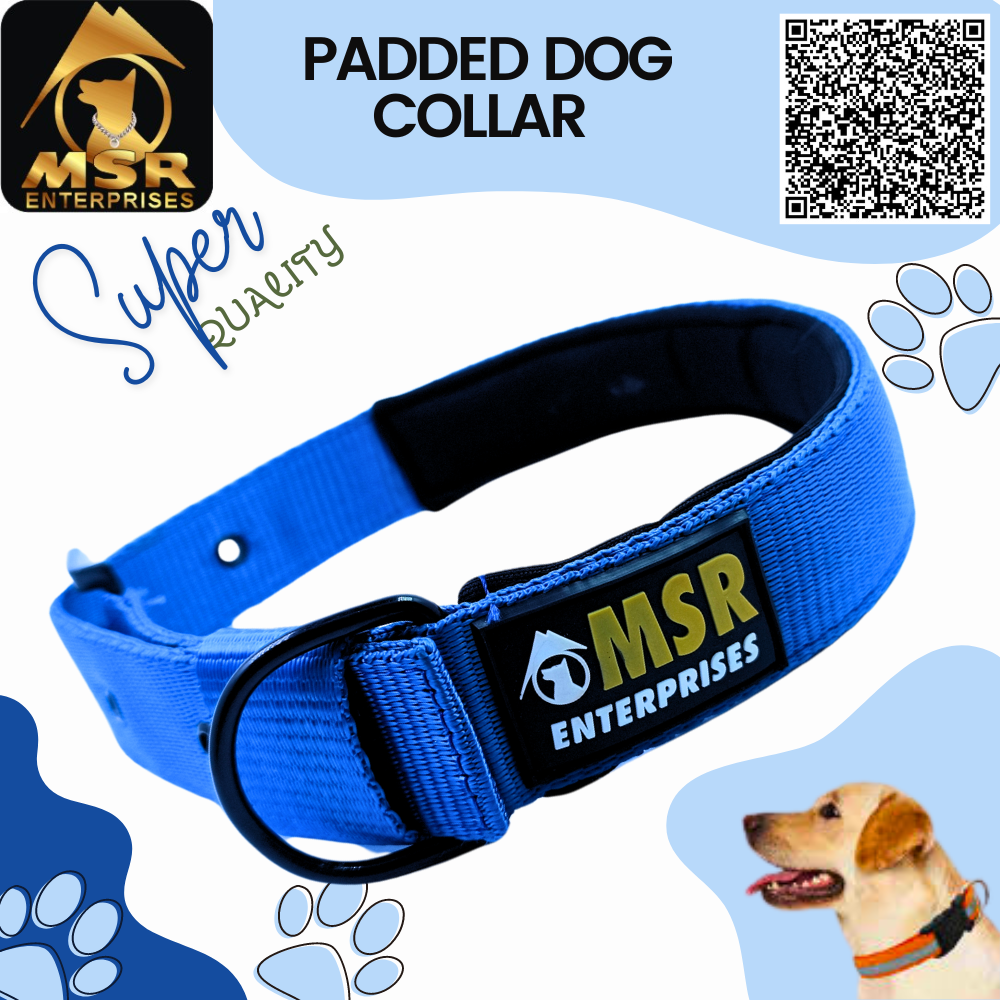 Padded Dog Collar (Pp/nylon) - 1.5 Inch Size | High Quality Material Vibrant Yellow Color Suitable For All Breeds And Ages