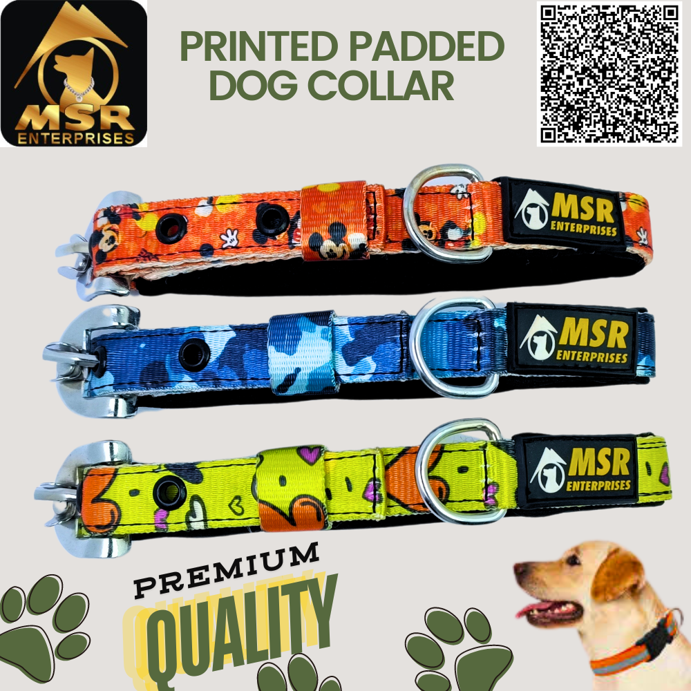 Printed Padded Dog Collar With Sr Clip / Export Buckle - Nylon, 1.25 Inch , Multi-color, Durable Padding, Adjustable Fit For All Breeds