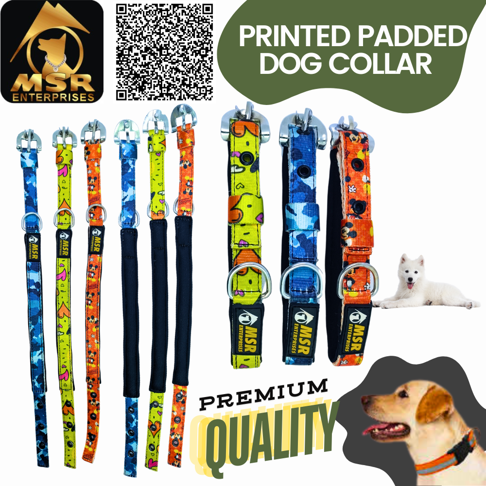 Printed Padded Dog Collar With Sr Clip / Export Buckle - Nylon, 1.25 Inch , Multi-color, Durable Padding, Adjustable Fit For All Breeds