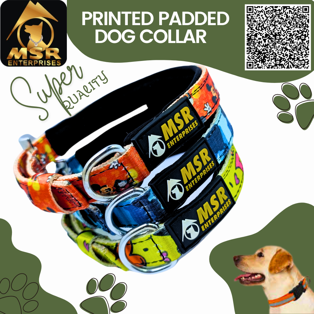 Printed Padded Dog Collar With Sr Clip / Export Buckle - Nylon, 1.25 Inch , Multi-color, Durable Padding, Adjustable Fit For All Breeds