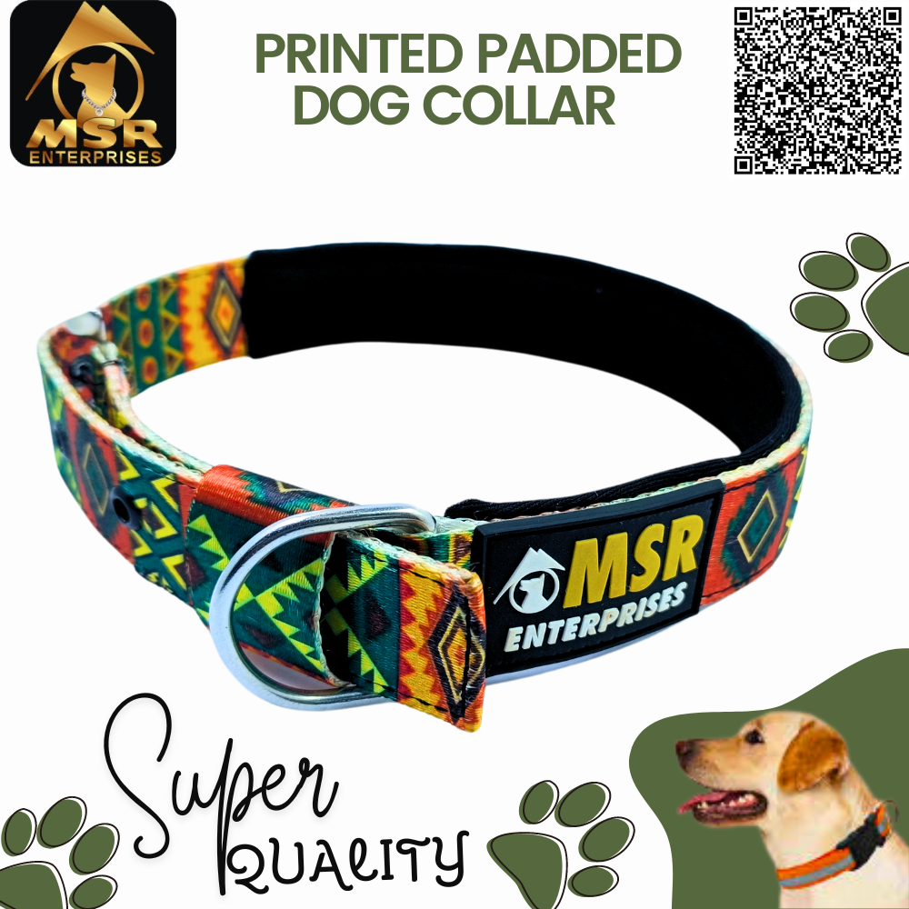 Printed Padded Dog Collar With Sr Clip / Export Buckle - Nylon, 1.25 Inch , Multi-color, Durable Padding, Adjustable Fit For All Breeds