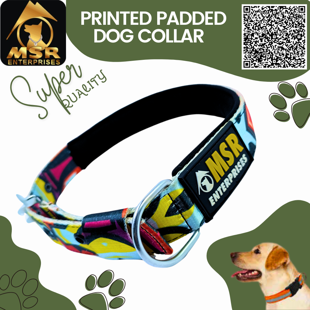 Printed Padded Dog Collar With Sr Clip / Export Buckle - Nylon, 1.25 Inch , Multi-color, Durable Padding, Adjustable Fit For All Breeds