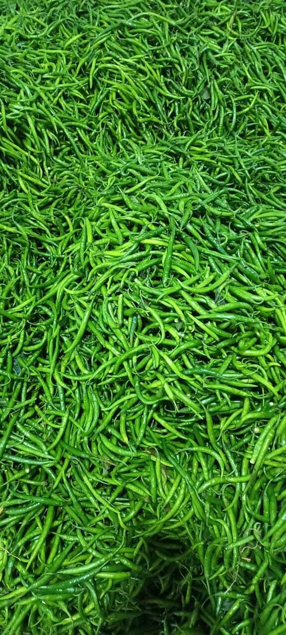 Fresh G4 Green Chilli - 80% Moisture, Raw Natural Shape, No Preservatives, Perfect For Curries And Salads