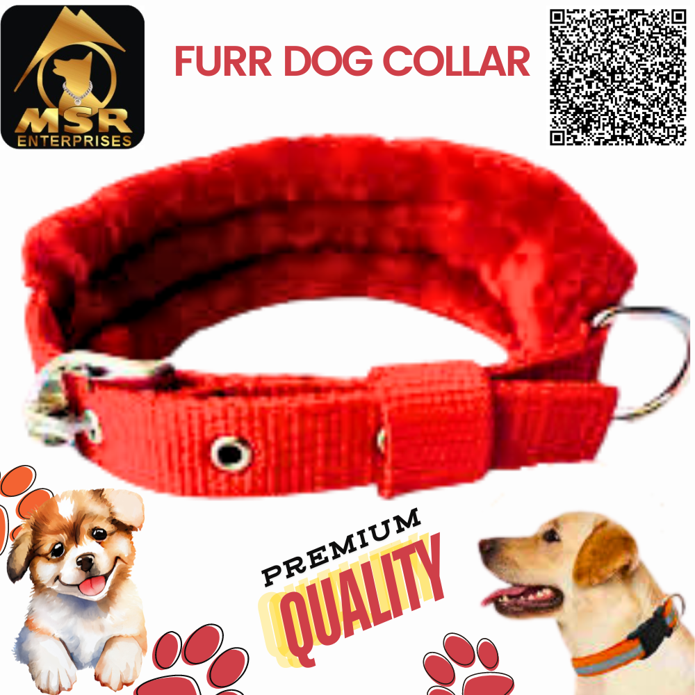 Double Layer Furr Dog Buckle Collar - Pp/nylon, 1.5 Inch Multi-color, High Quality Features For All Breeds