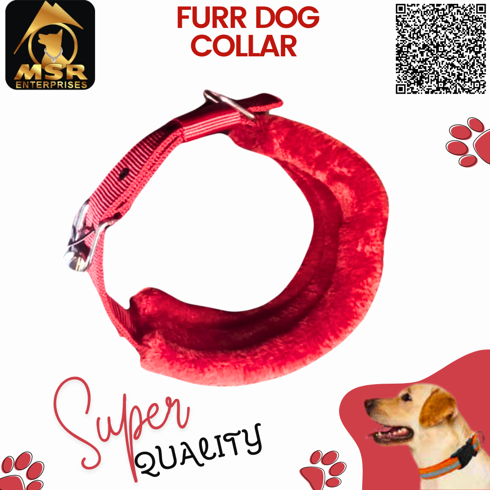 Double Layer Furr Dog Buckle Collar - Pp/nylon, 1.5 Inch Multi-color, High Quality Features For All Breeds