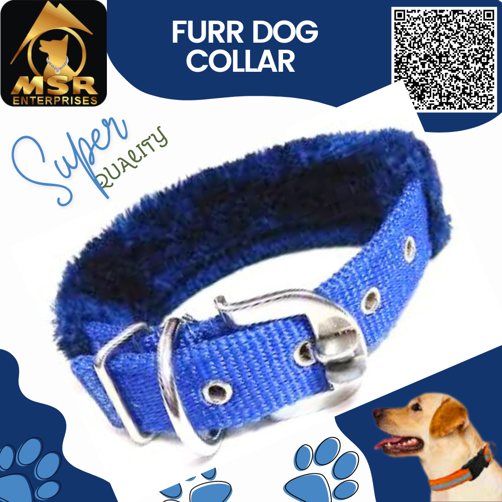Double Layer Furr Dog Buckle Collar - Pp/nylon, 1.5 Inch Multi-color, High Quality Features For All Breeds