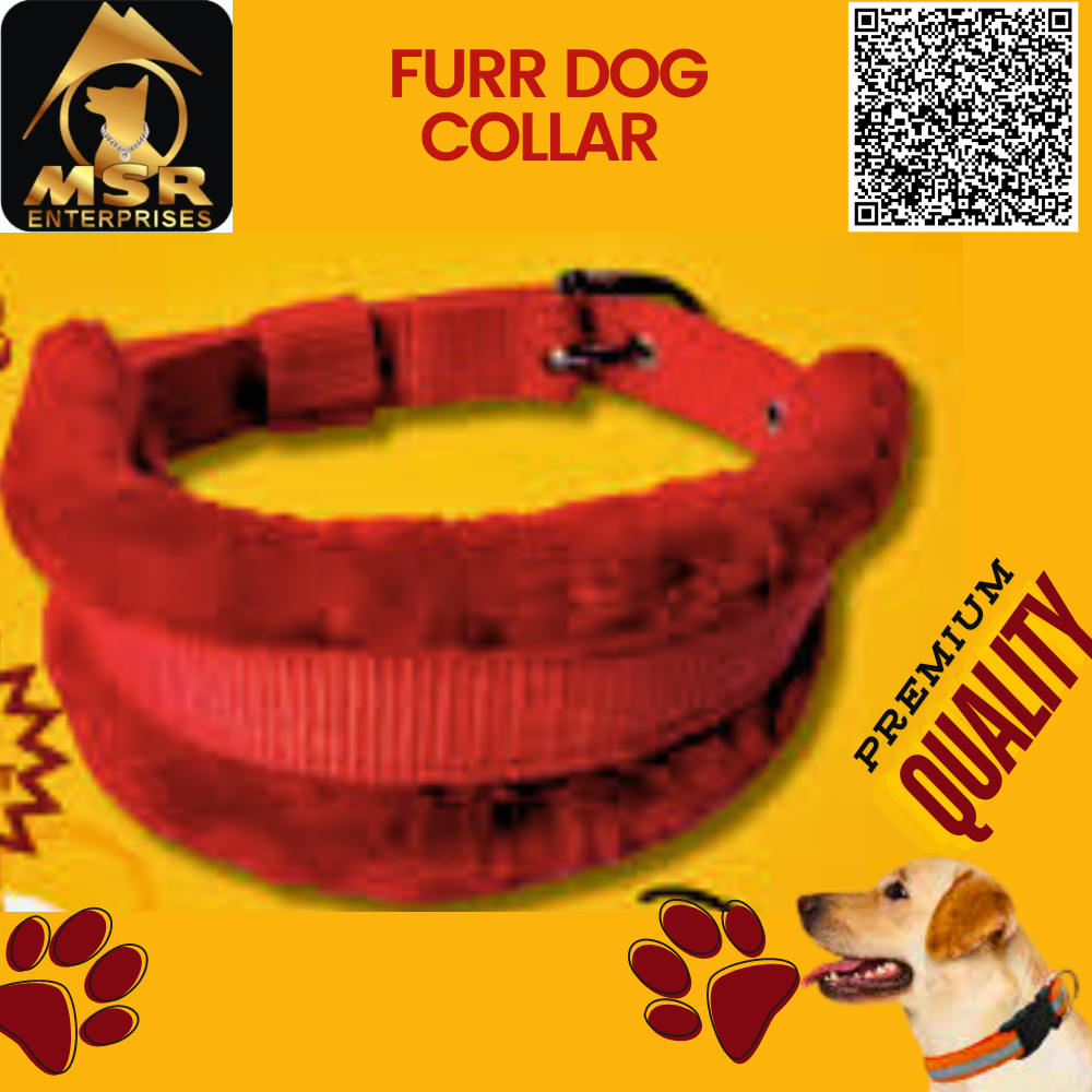 Double Layer Furr Dog Buckle Collar - Pp/nylon, 1.5 Inch Multi-color, High Quality Features For All Breeds