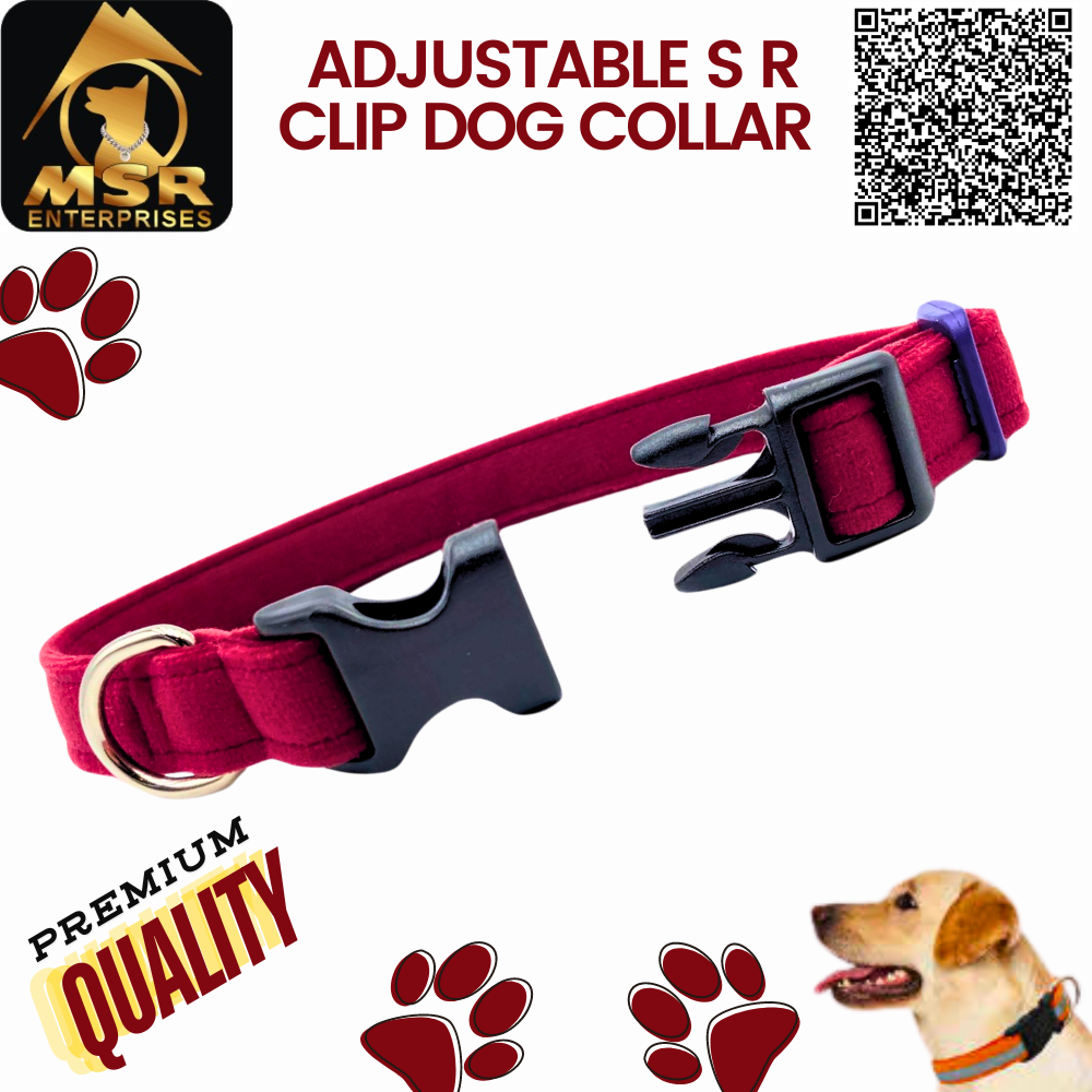 Double Layer Dog Adjustable Sr Clip Collar Pp / Nylon - 1.5 Inch, Multi-color Design | High Quality Material For All Dog Breeds