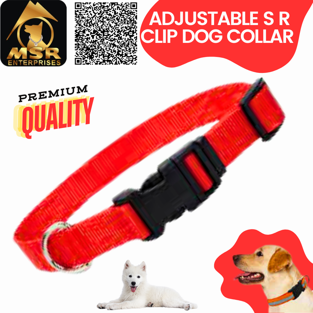 Double Layer Dog Adjustable Sr Clip Collar Pp / Nylon - 1.5 Inch, Multi-color Design | High Quality Material For All Dog Breeds