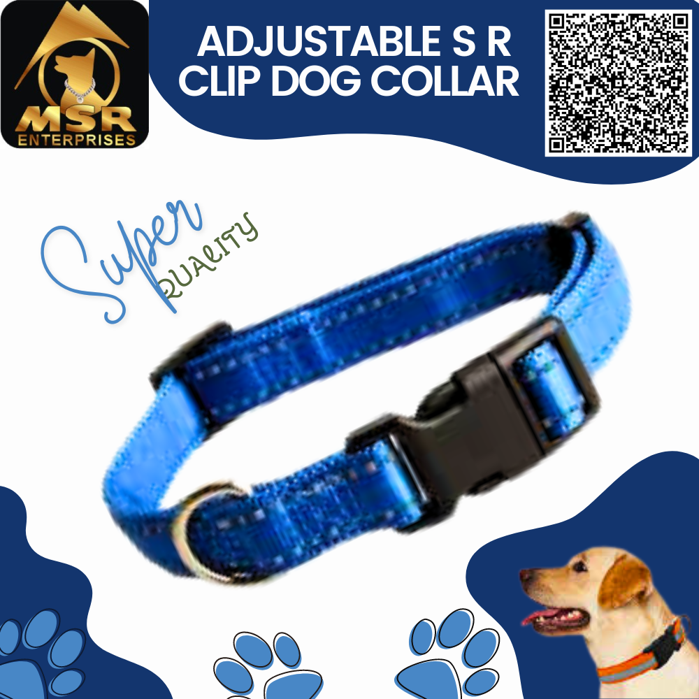 Double Layer Dog Adjustable Sr Clip Collar Pp / Nylon - 1.5 Inch, Multi-color Design | High Quality Material For All Dog Breeds