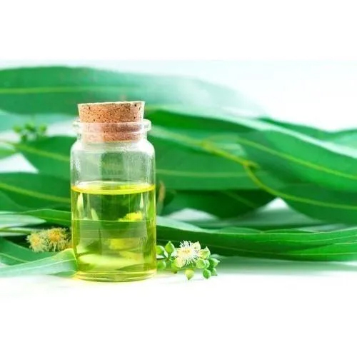 यूकलिप्टस एसेंशियल ऑइल