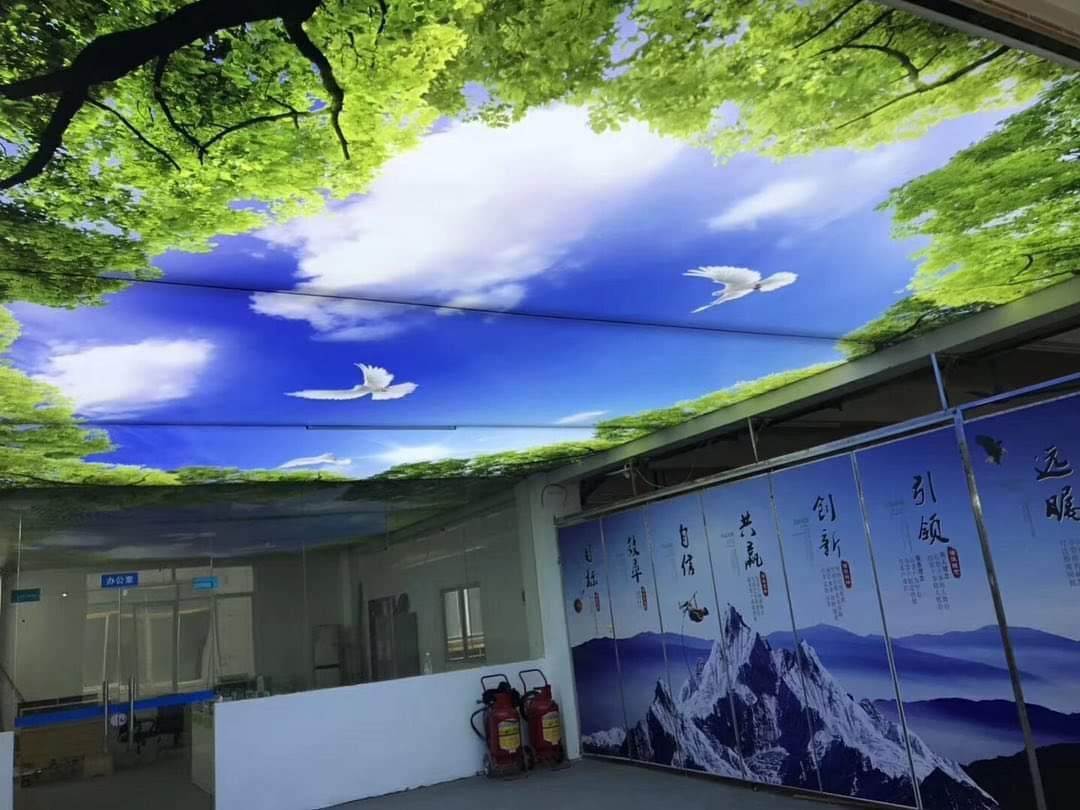 Waiting Room Stretch Ceiling - Other Material, Any Size , Customizable Pattern For A Modern And Inviting Atmosphere