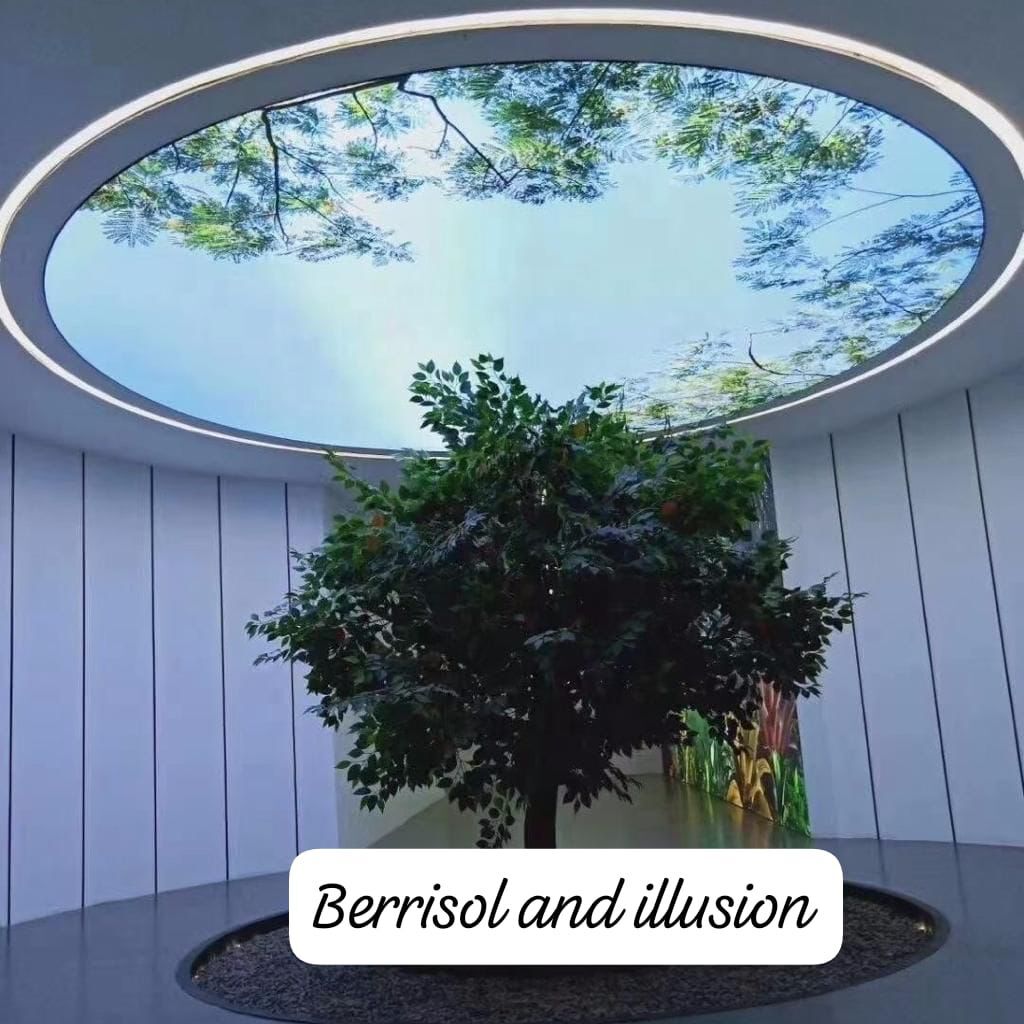 Library Stretch Ceiling - .18mm Thickness, Any Shape & Size, Customizable Patterns | Enhance Acoustics, Inviting Aesthetic, Easy Maintenance