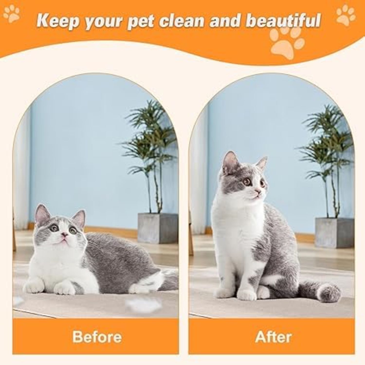 Cat Steam Brush - 10x10x5 Inches | Multi-functional 3-in-1 Pet Grooming Tool, Silicone Massage Brush, Reduces Shedding, Cleans Undercoat