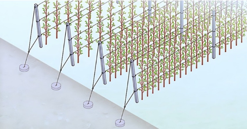 Trailing System