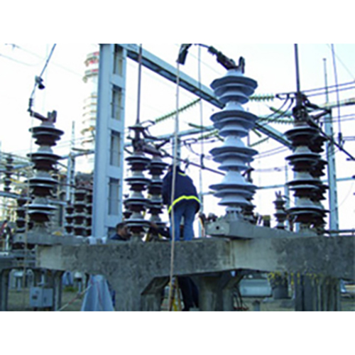 Insulator Upgrading Systems - Application: Power Station