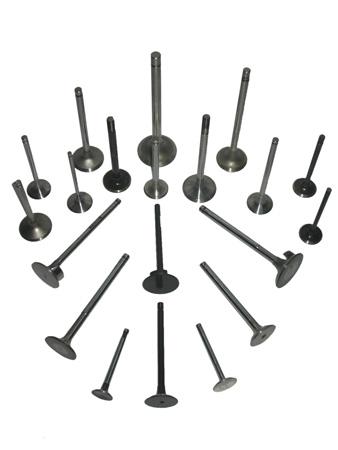 इंजन वाल्व