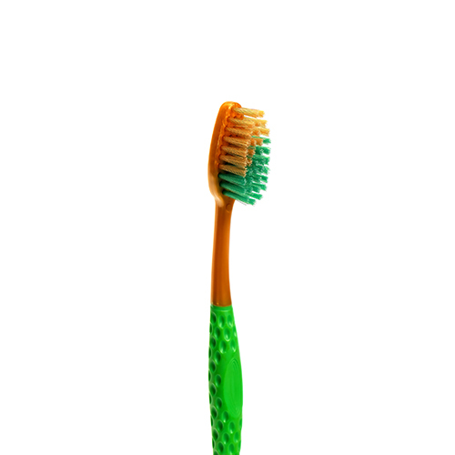 Soft Gold Coin Tooth Brush - Plastic Stick, Synthetic Bristles | Soft, Flexible Brushing, Various Colors For Enhanced Oral Care