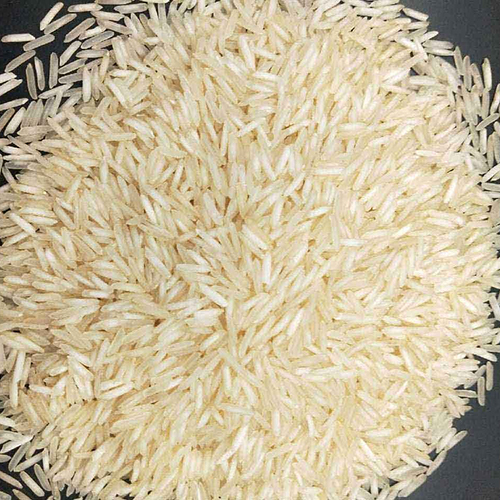 1121 Steem Basmati Rice - Cultivation Type: Common