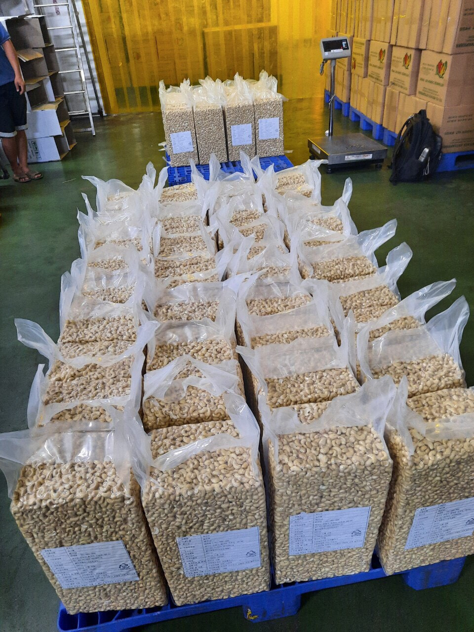 Natural Whole Cashew Nuts - W180 W240 W320 | Organic Dried Pure White Low Moisture 7% 12-month Shelf Life 1000kg Packaging Flavor Varieties: Salted Roasted Fried Raw