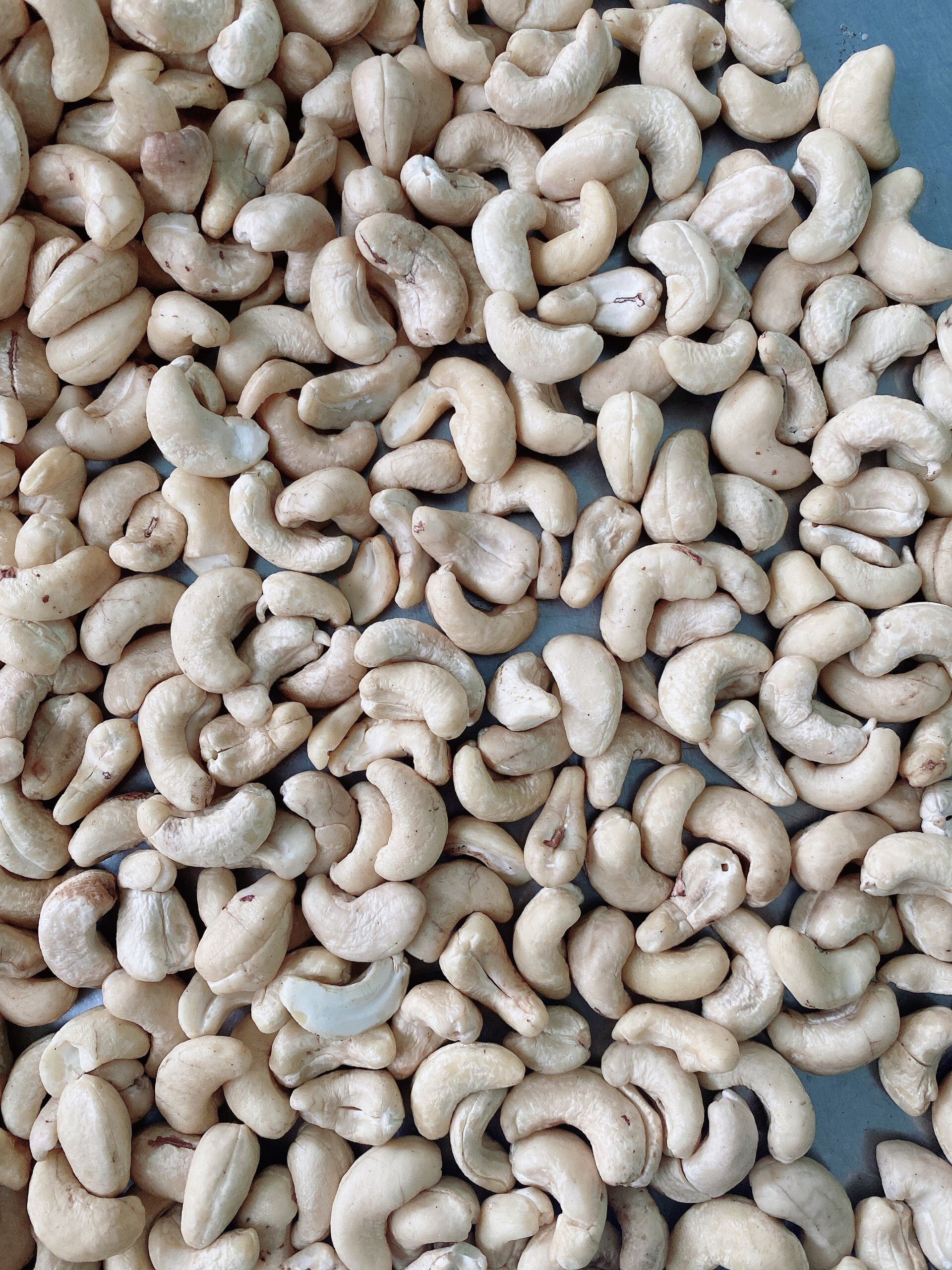 Natural Whole Cashew Nuts - W180 W240 W320 | Organic Dried Pure White Low Moisture 7% 12-month Shelf Life 1000kg Packaging Flavor Varieties: Salted Roasted Fried Raw