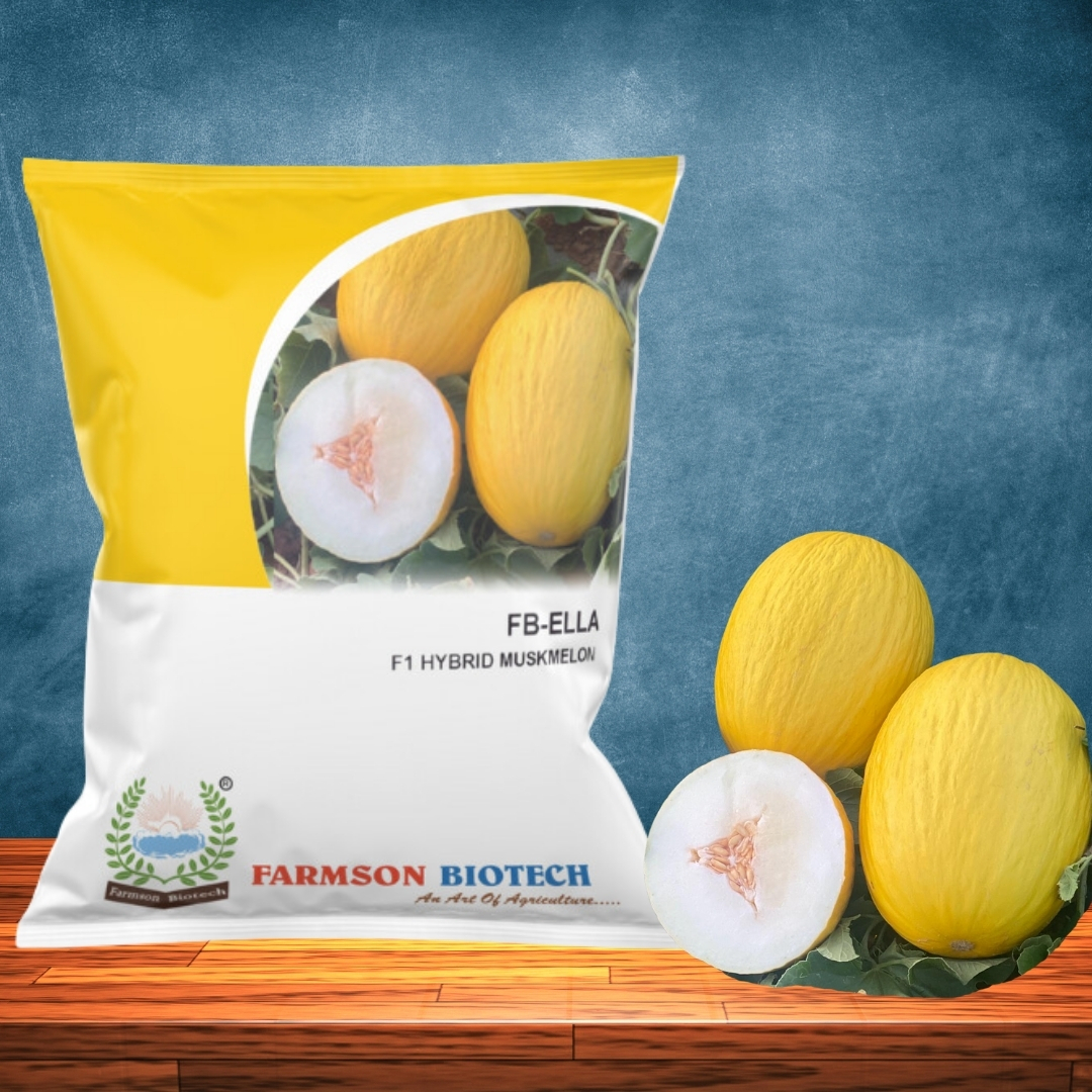 Muskmelon Seeds Fb-ella F1 Hybrid - Color: Brown