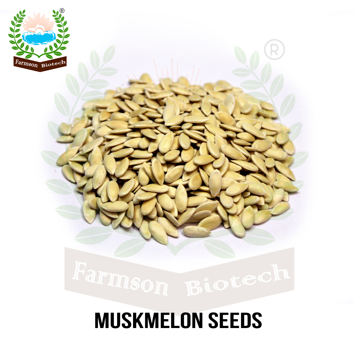 Muskmelon Seeds Fb-ella F1 Hybrid - Color: Brown